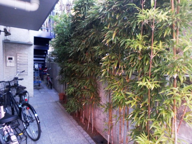 寺川ビルのエントランス