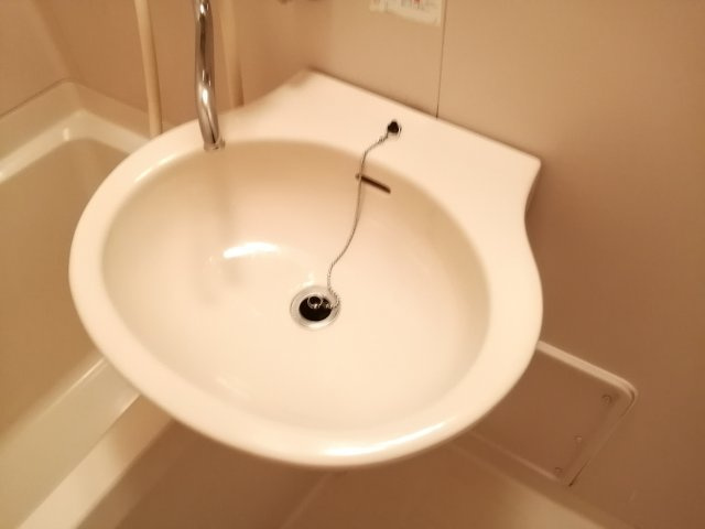 ハウスセゾン鞍馬口の洗面所