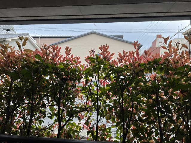 サンカノン御所室町の展望