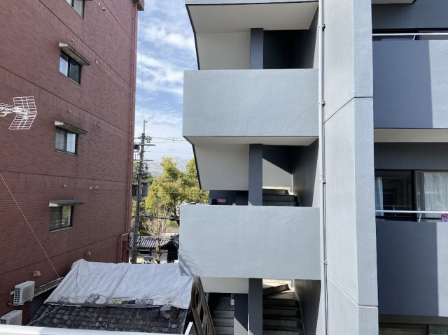 モンターニュ染の展望