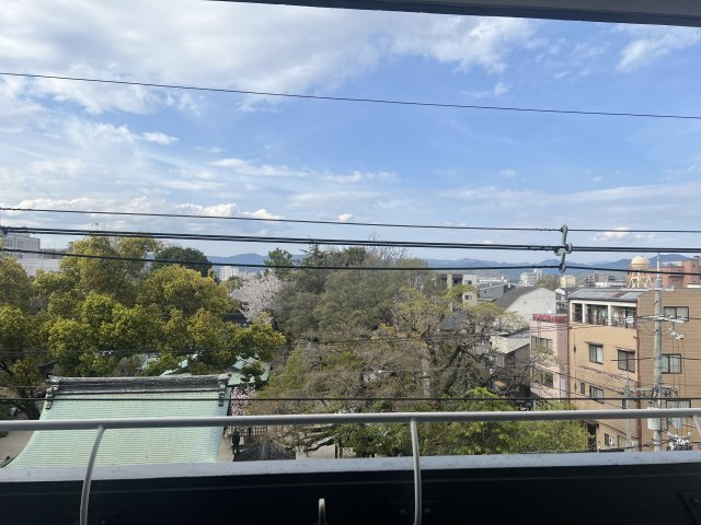 シリウス星の子の展望