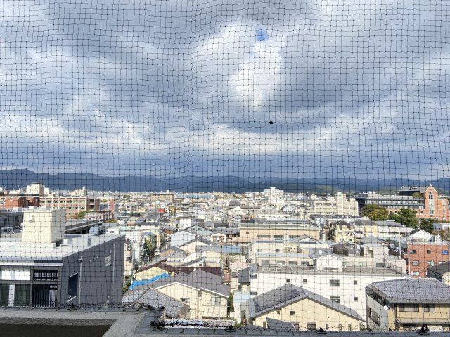 メゾン・ド・リュートの展望