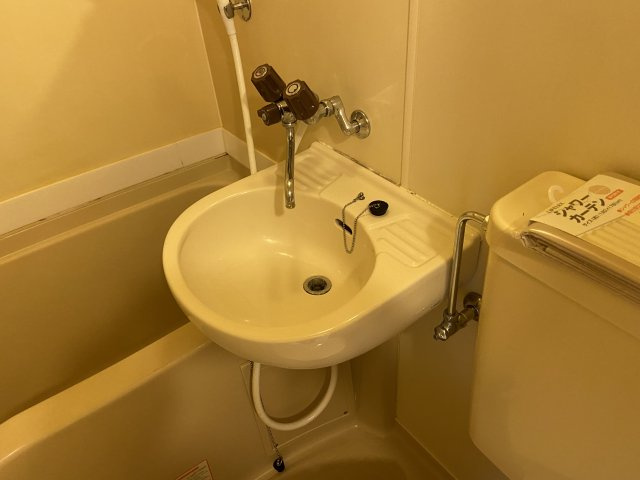 メゾン・ド・リュートの洗面所