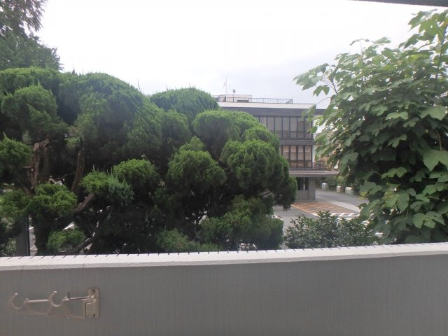 カワモトマンションの展望