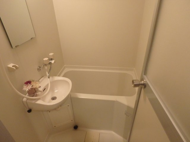 カワモトマンションの洗面所