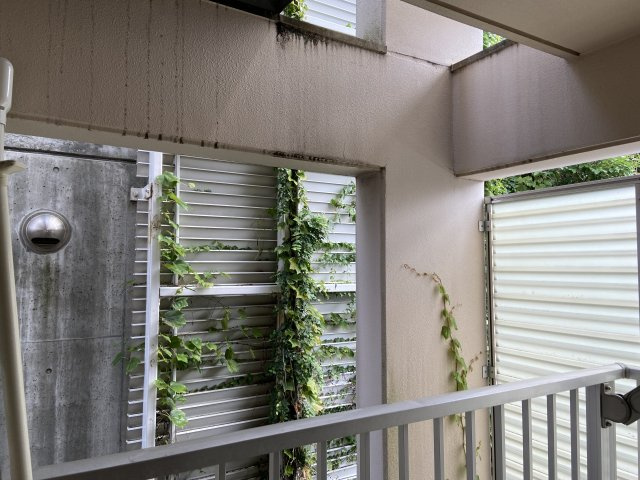 カリヨン出町の展望