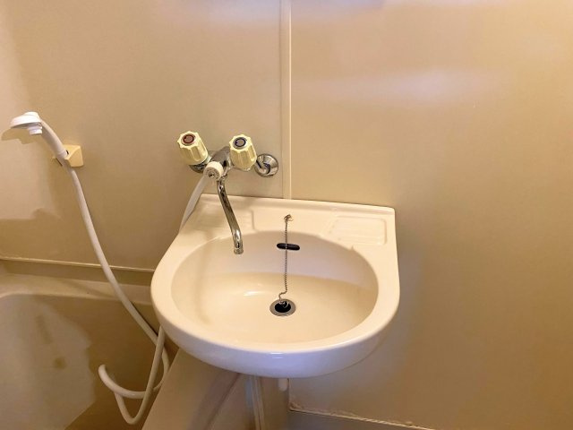 コーポAYUMIの洗面所