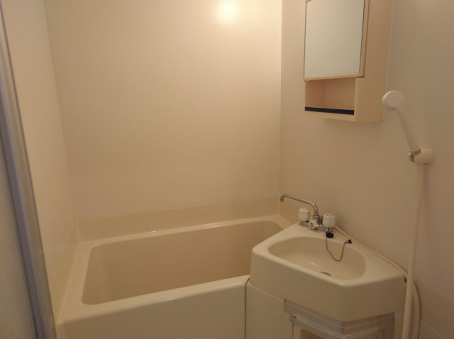 GANESHA 994の洗面所