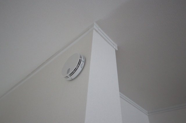 【その他】 | 《仲介手数料無料》南区大字広ヶ谷戸567(N号棟)7期・新築一戸建て | 撮影日 2025年6月2日 15:40 晴れ