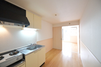 【居間・リビング】 | ベルサイユD　★プライスホームなら仲介手数料が割引価格です★