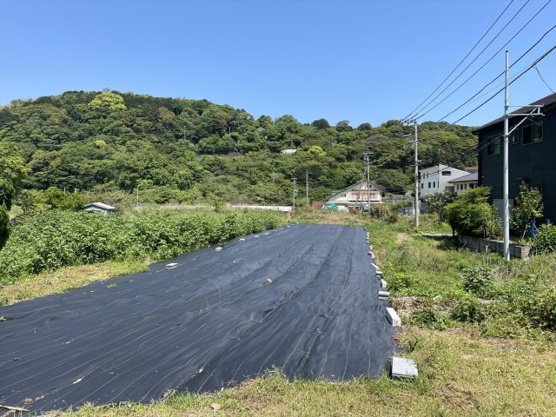 【外観】 | 河津町見高　売地