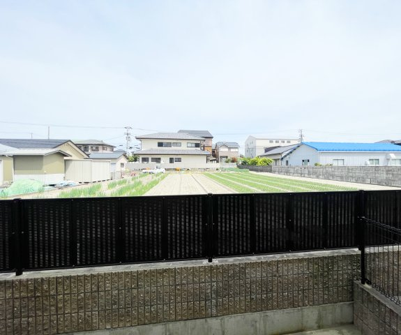 ルナキャットの展望