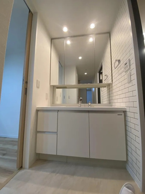 【独立洗面台】 | エルグレース・ジオ六甲 | 独立洗面台あり、毎朝おしゃれに忙しい女性の方におすすめです