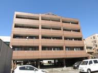 ＯＰＵＳ　ＯＮＥの画像