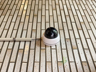 【その他】 | ゾンネンハイム大橋