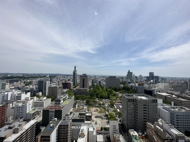 ザ・ライオンズ定禅寺タワーの展望