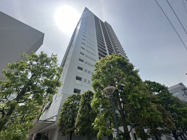 ザ・ライオンズ定禅寺タワーの外観