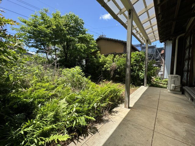 高知市新田町の庭