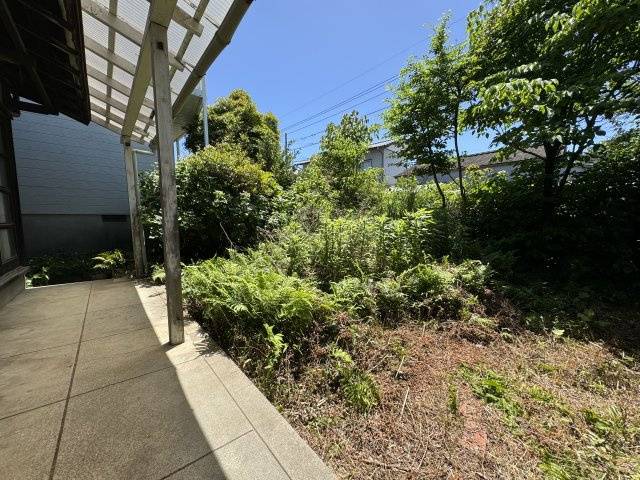 高知市新田町の庭