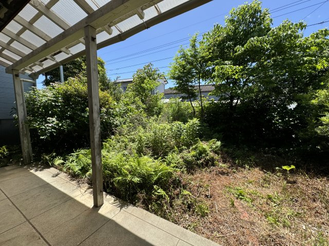 高知市新田町の庭