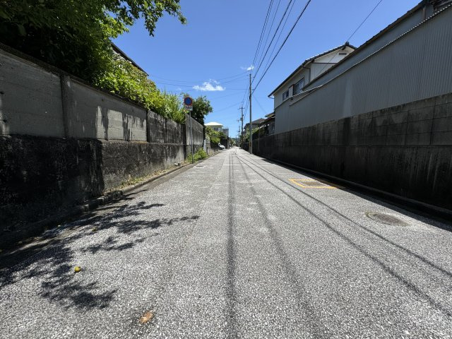 高知市新田町の前面道路含む現地写真|南側道路。西側から東向きを撮影