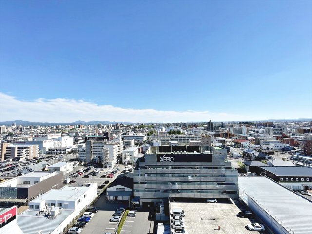 レジーア並木の展望