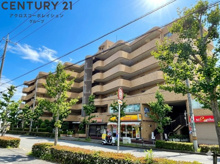 マブランシェット弦月の画像