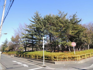 大谷田公園まで260m