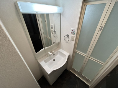 【洗面所】 | AVERIO住吉 | 別号室の写真になります。現況優先。