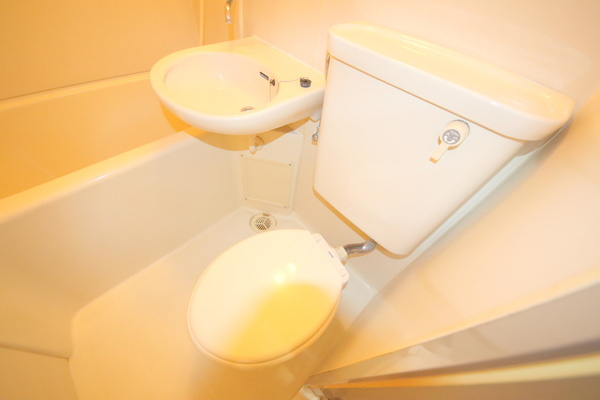 生駒イーストハイツのトイレ