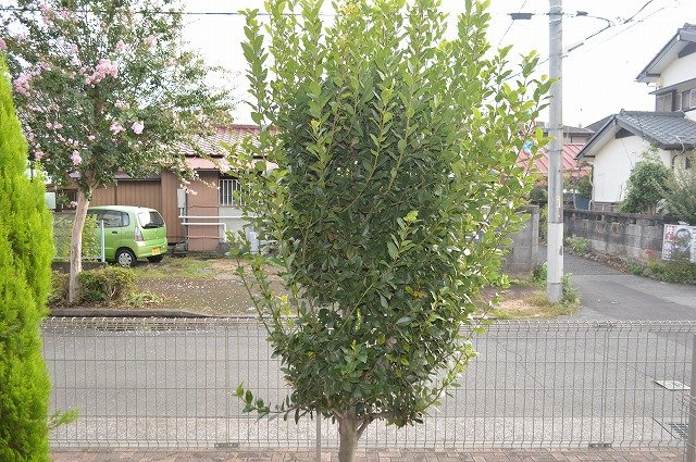 グランパルク東町の展望|※別部屋のイメージ写真です。