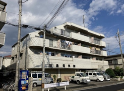 ジュネス・ソネ