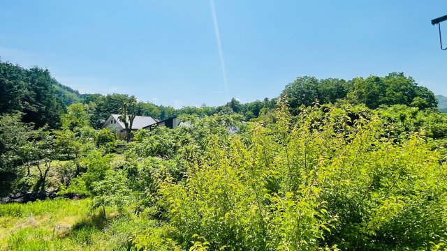 日の出町大久野　中古戸建の展望|緑が沢山の眺望です！