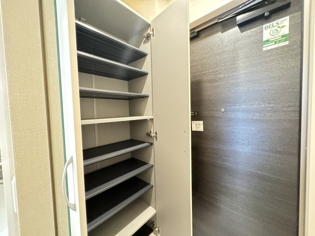 Ferro Pinoのその他