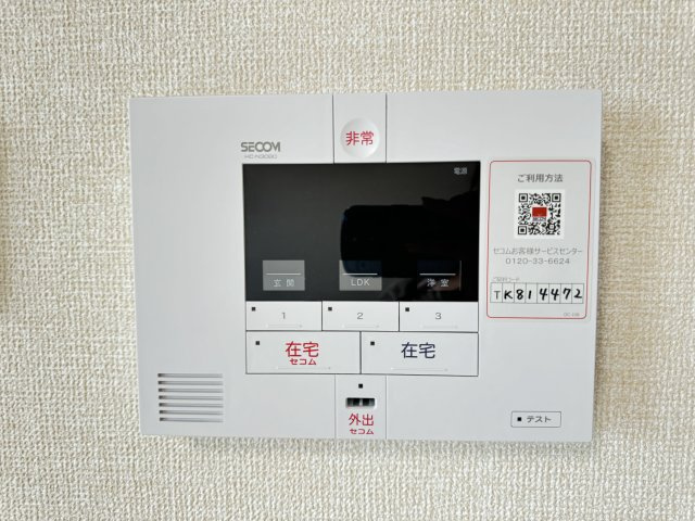 Ferro Pinoのその他
