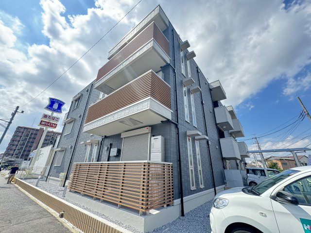 Ferro Pino