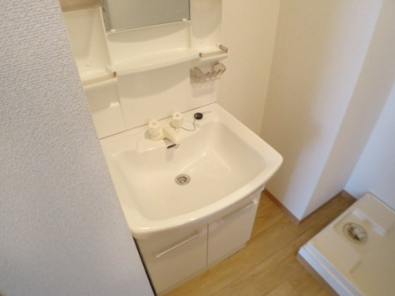 ティーズコート甲南山手の洗面所