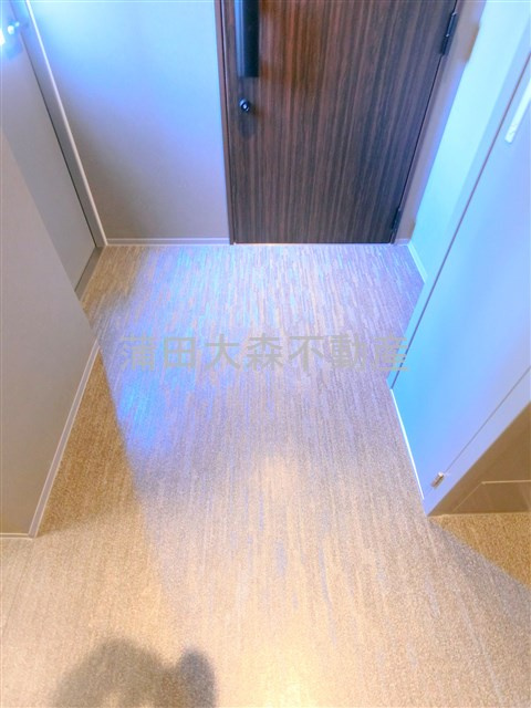 ディアレイシャス蒲田Ⅱのその他共用部分