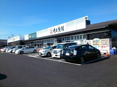 【周辺】 | ＴａｋａｓａｋｉＴｏｔｔｏｓⅦ | 角上魚類高崎店まで950m