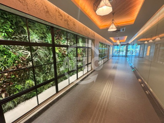 【ロビー】 | THE PEAK SHUNSAIBASHI | THE PEAK SHUNSAIBASHI　ロビー