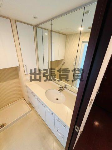 仲介手数料0円！！パシフィックコンフィート丸の内の洗面所