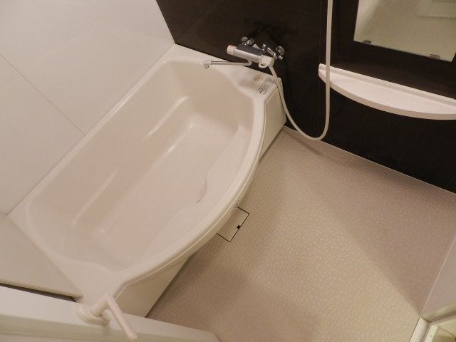 プレジャー室蘭駅前Ⅱの浴室