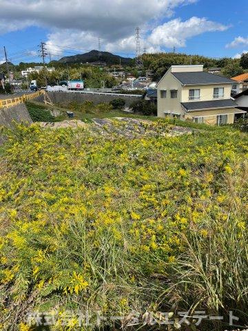 長府安養寺土地  の周辺