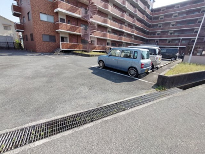  | ピュアネスDoi