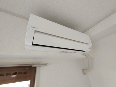  | ピュアネスDoi