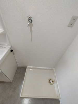  | ピュアネスDoi