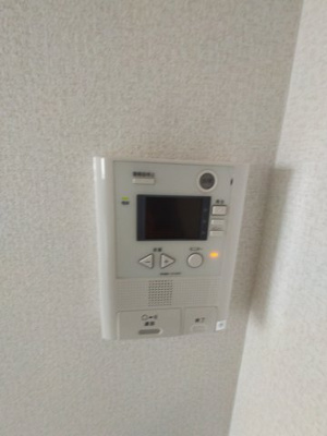  | ピュアネスDoi