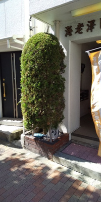 ◆建物入り口◆