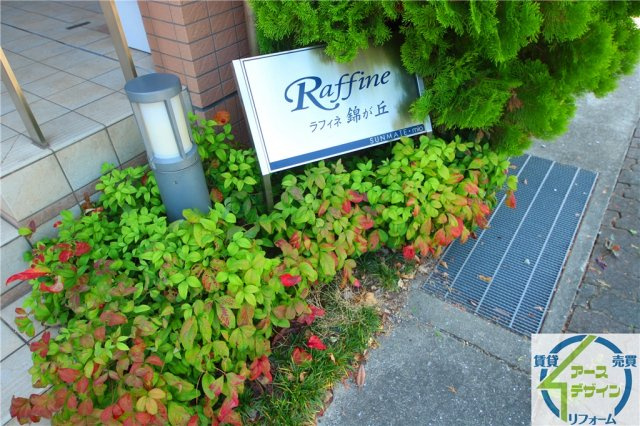 ラフィネ錦が丘の外観