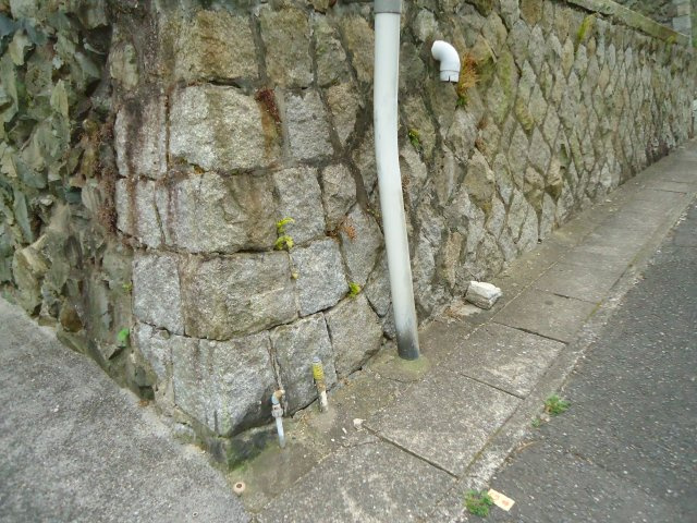 【その他】